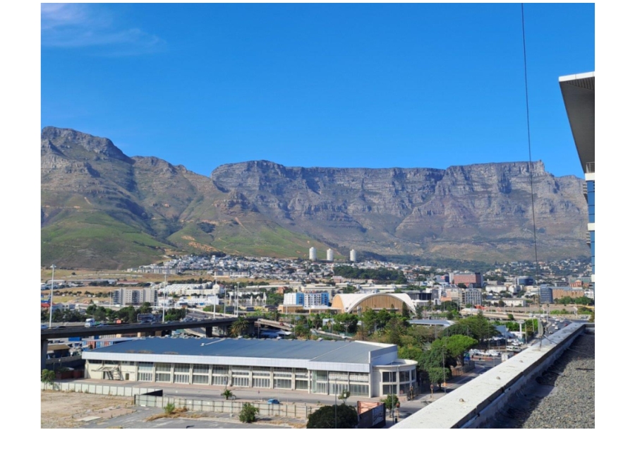 Commercial Property for Sale in Foreshore Western Cape